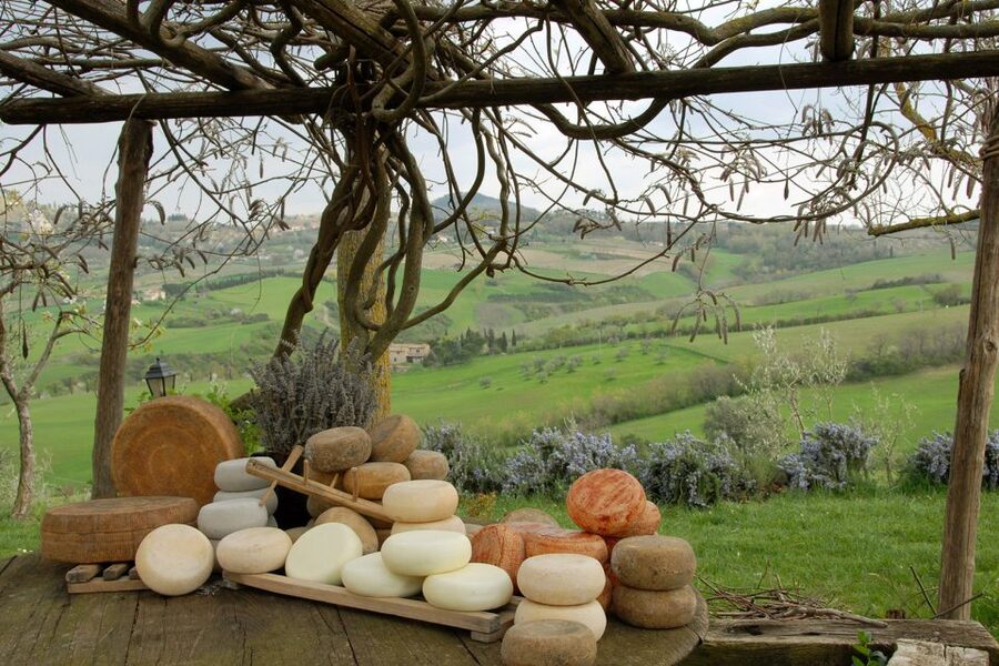 Pienza: Dairy Farm Tour with Pecorino Cheese Tasting - Booking details that affect your day