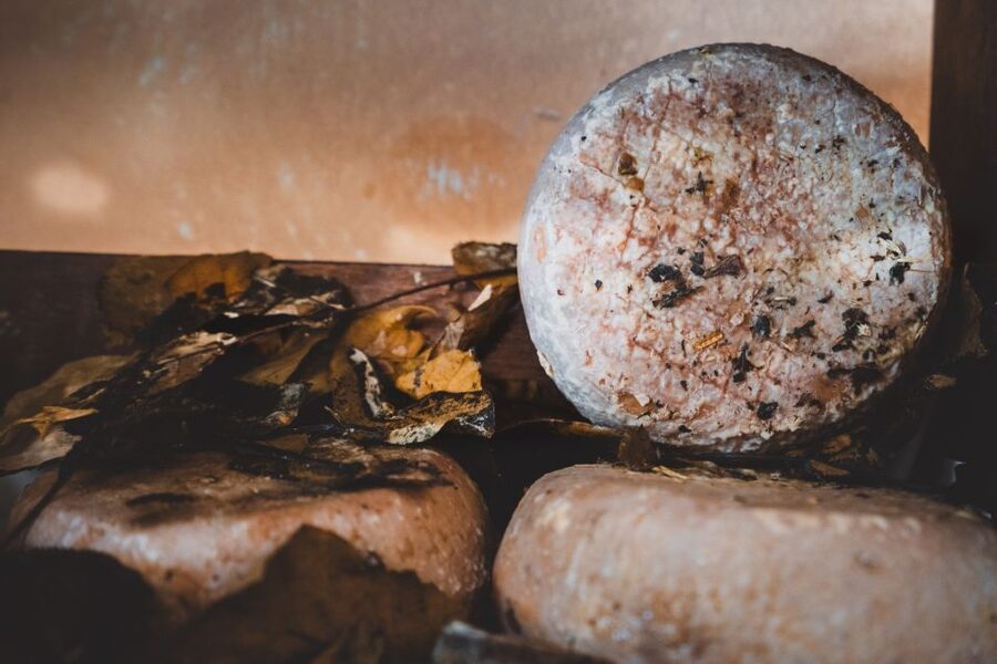 Pienza: Dairy Farm Tour with Pecorino Cheese Tasting - Arriving at a dairy farm near Pienza