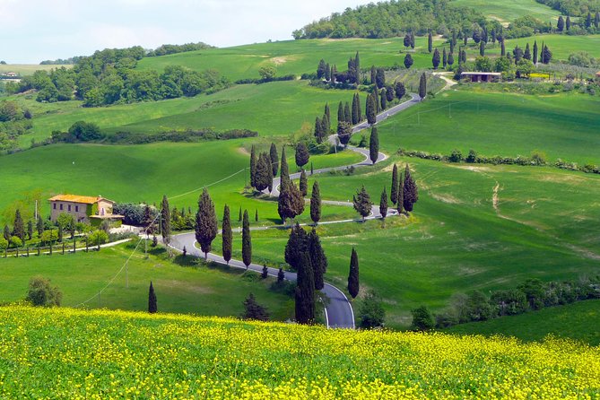 Pienza, Montalcino, Brunello Wine and Pecorino Cheese PRIVATE TOUR from FLORENCE - Brunello at Capanna di Cencioni