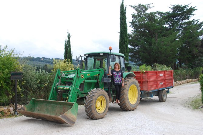Pienza, Val d'Orcia, Montalcino wine and Pecorino cheese PRIVATE TOUR from SIENA - Who should book this experience