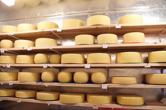 Pisa, Lucca & Cheese Farm with wine tasting Private Tour - The cheese factory tasting