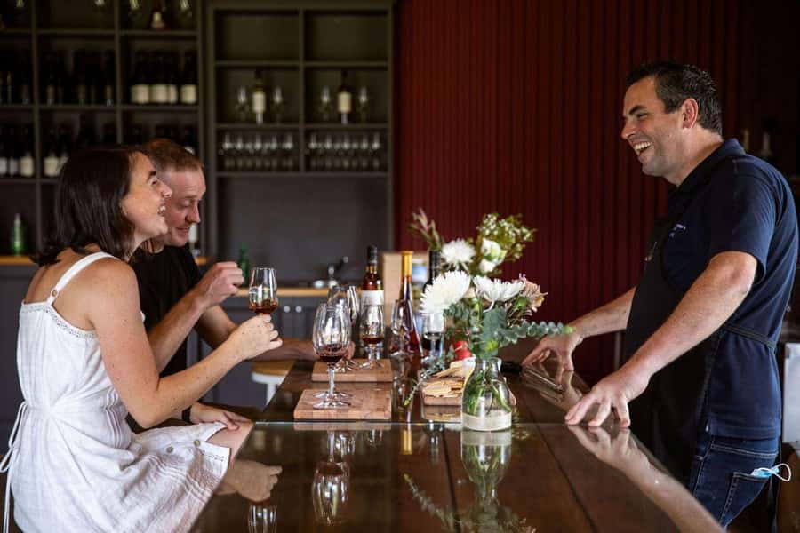 Pokolbin: Cheese and Barrel Wine Tasting at Audrey Wilkinson - The Brokenback Range views add real value