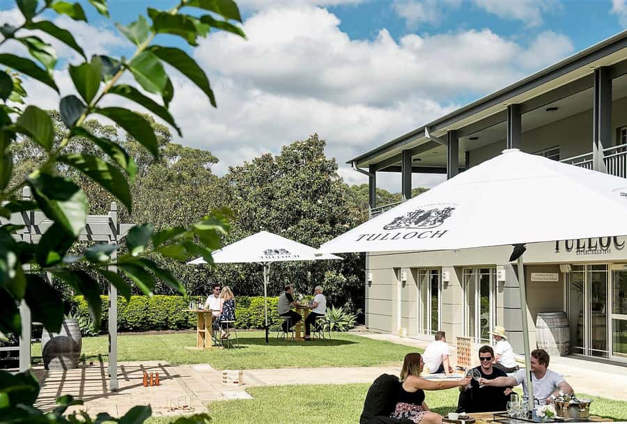 Pokolbin: Tulloch Hunter Heroes Wine Tasting & Cheese Board - Why the museum bottle matters at Tulloch Wines