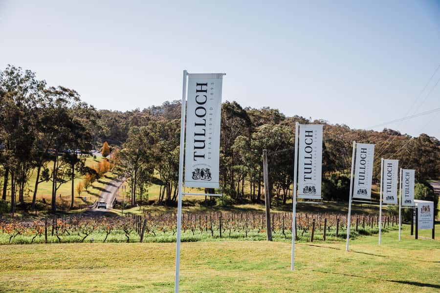 Pokolbin: Tulloch Hunter Heroes Wine Tasting & Cheese Board - Is $37 good value?
