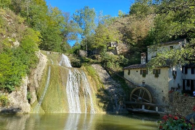 Premium Cheeses and Gins Tour in the Prosecco hills. Full lunch! - The dairy and cheese museum in San Pietro di Feletto