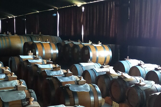 Private Balsamic vinegar & Parmigiano Reggiano factory visits - Why this Modena food tour works