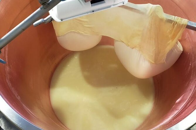 Private Balsamic vinegar & Parmigiano Reggiano factory visits - What the tasting menu really includes