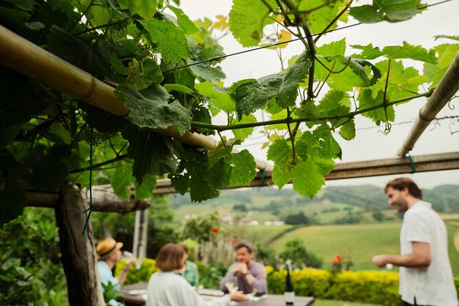 Private Basque Cheese & Txakoli Wine Tour from San Sebastian - Aia and the serious business of Idiazabal cheese