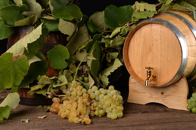 Private Day Tour & Lunch: Parmesan, Wine, and Vinegar Tasting - What the private vehicle adds