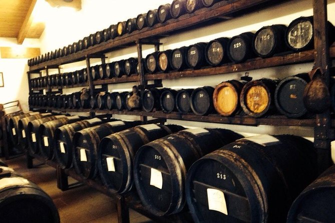 Private Day Tour & Lunch: Parmesan, Wine, and Vinegar Tasting - From Bologna to the Parmigiano Reggiano dairy