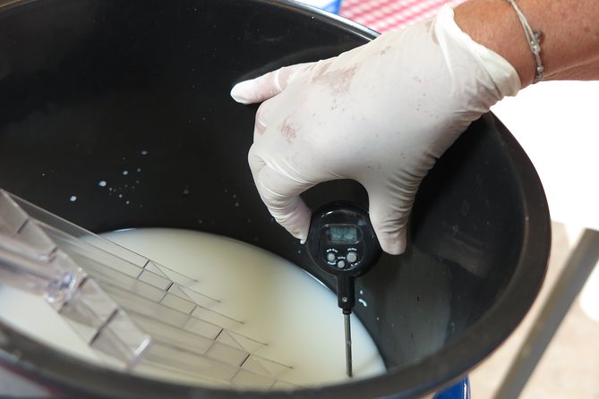 Private Farmhouse Cheesemaking Workshop - What the two-and-a-half-hour schedule includes
