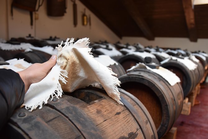 Private Full Day Parma Food Tour: Parmesan Cheese, Parma Ham, Lunch, Vinegar - Private transport and pickup in Parma