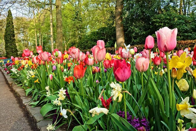 Private Keukenhof, Gardens, Windmills, cheese tour from Amsterdam - One day, five very Dutch ideas