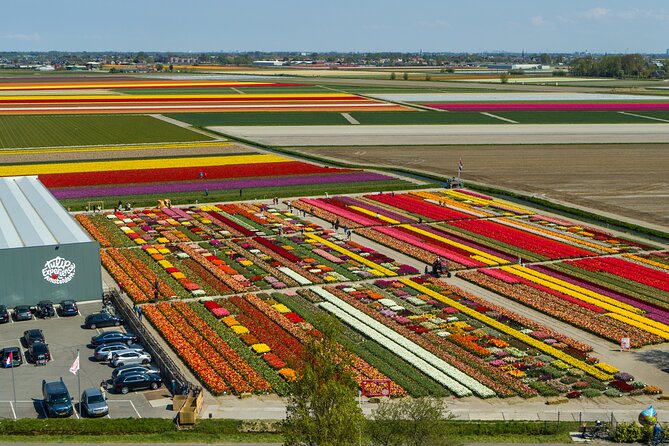 Private Keukenhof, Gardens, Windmills, cheese tour from Amsterdam - Jacobs Hoeve brings the day back to food