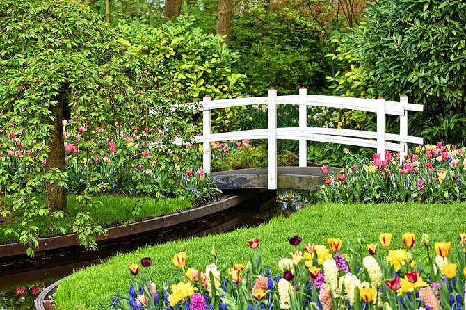Private Keukenhof, Gardens, Windmills, cheese tour from Amsterdam - Tulip Experience Amsterdam starts with the story