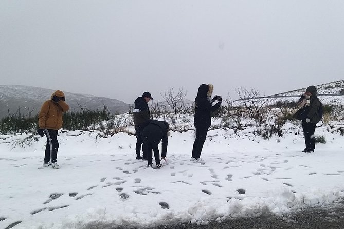 Private Serra da Estrela Gastronomy & Snow Tour from Porto - Why this private mountain day works