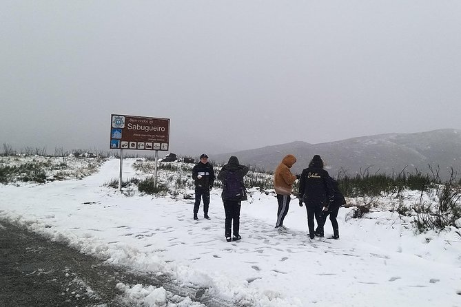 Private Serra da Estrela Gastronomy & Snow Tour from Porto - Vale do Rossim and the source of the Mondego
