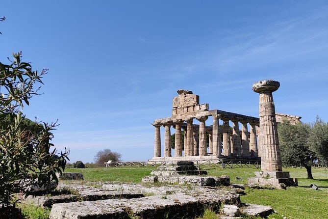 Private Tour from Sorrento/Positano to Paestum and Mozzarella tour - Two hours among the temples