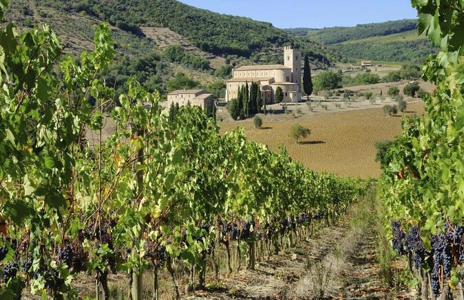Private Tour: Pienza and Montalcino Organic Cheese and Wine Tour - Key things to know before booking