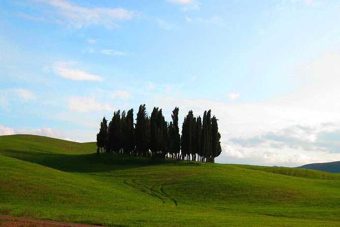 Private Tour: Pienza and Montalcino Organic Cheese and Wine Tour - Pienza and the quiet center of Piazza Pio II