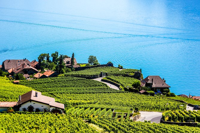 Private Tour to Gruyères, Chocolate & Cheese Factory from Geneva - Timing, weather, and practical details