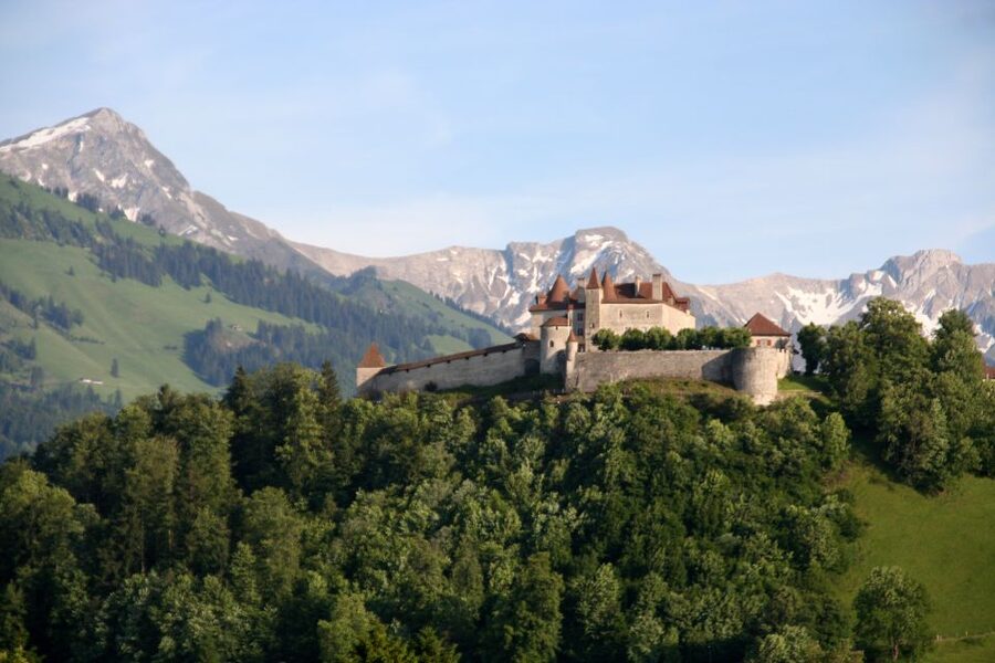 Private Tour to Gruyeres with Cheese and Chocolate Factory - Guide Languages and the Human Side of the Tour