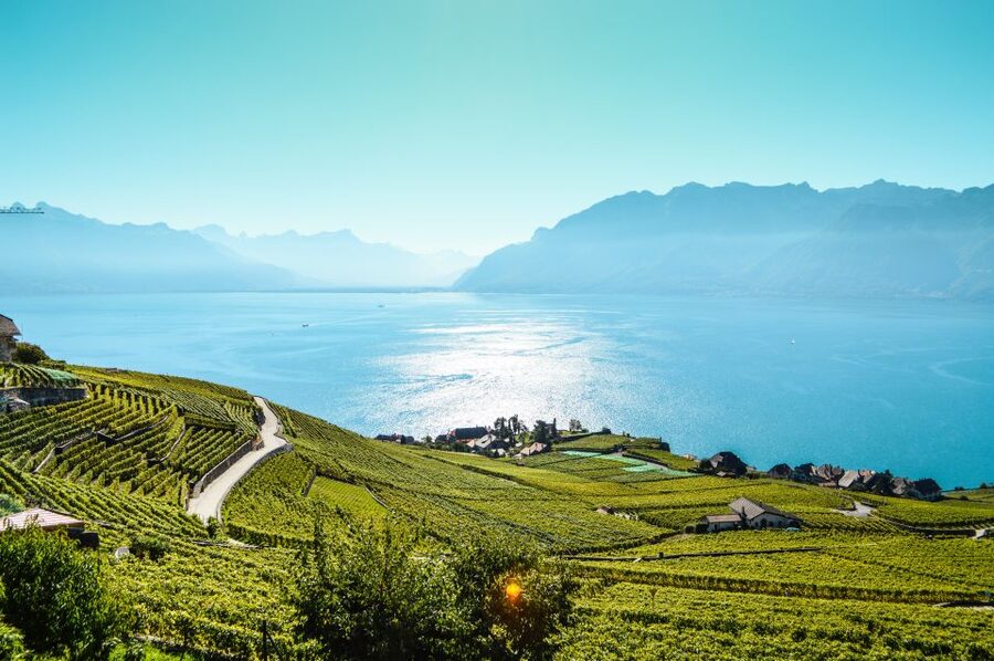 Private Tour to Gruyeres with Cheese and Chocolate Factory - Is $511 Per Person a Fair Price?