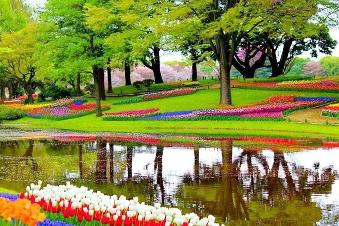 Private Tour to Tulips, Keukenhof, Windmills & Cheese Farm - Tulip Experience Amsterdam: a useful start