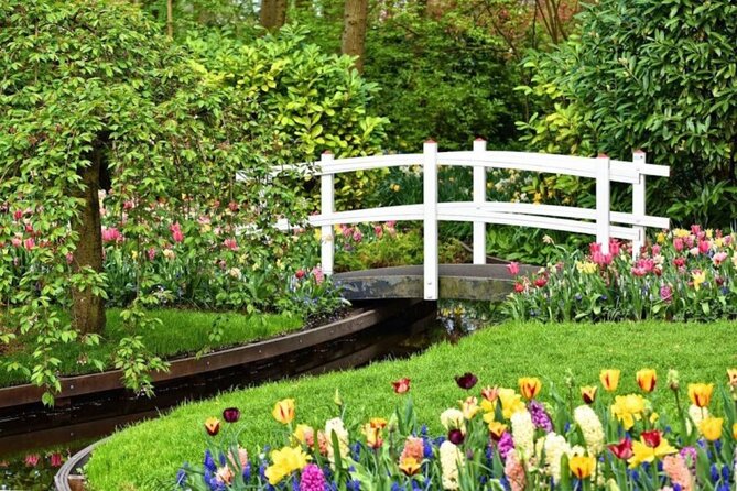 Private Tour to Tulips, Keukenhof, Windmills & Cheese Farm - Zaanse Schans: windmills and wooden shoes