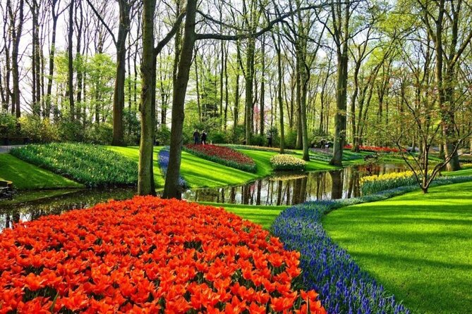 Private Tour to Tulips, Keukenhof, Windmills & Cheese Farm - Who will get the most from this tour