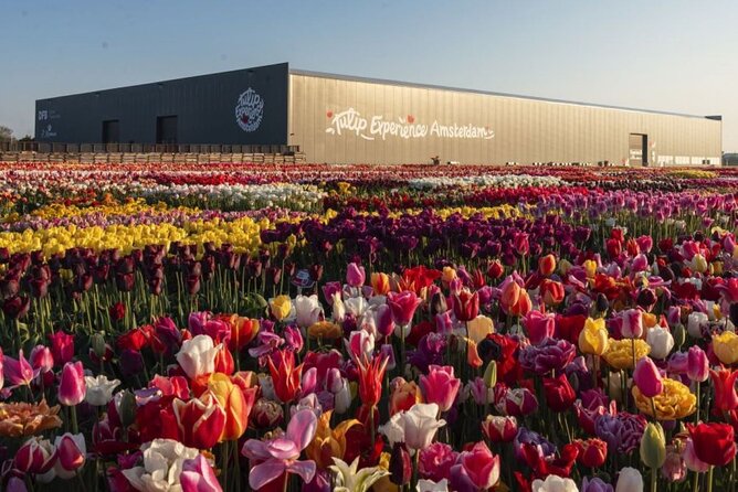 Private Tour to Tulips, Keukenhof, Windmills & Cheese Farm - Timing, tickets, and cancellation details
