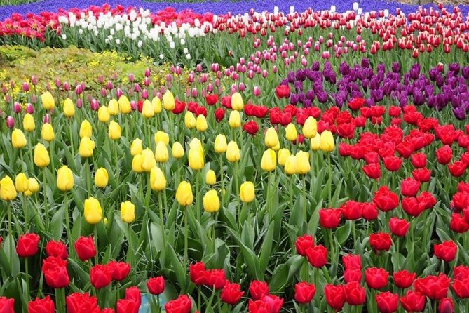 Private Tour to Tulips, Keukenhof, Windmills & Cheese Farm - Keukenhof: the big flower display
