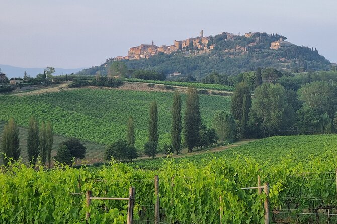 Private tour Wine and cheese a perfect combinations val 'Orcia - The Val d’Orcia drive is part of the experience