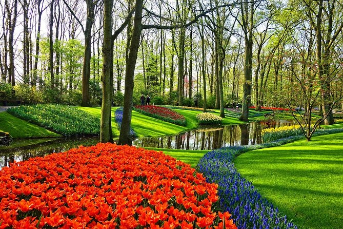 Private Tulip Fields, Windmills and Cheese Tour from Amsterdam - Tulip Experience Amsterdam: more than a field of flowers