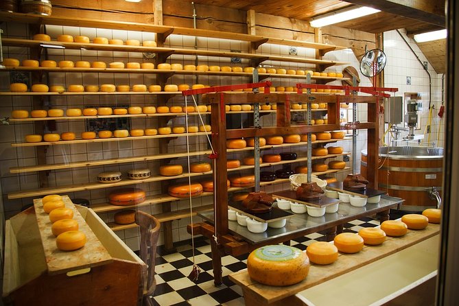 Private Tulip Fields, Windmills and Cheese Tour from Amsterdam - Molen De Kat: a paint mill with a strong story