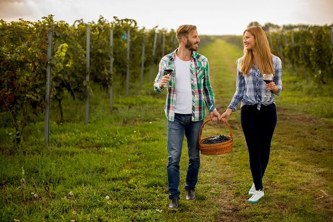Private Wine Tour in Niagara-on-the-Lake w/ cheese & charcuterie - Premium Stops Add More Than Another Glass