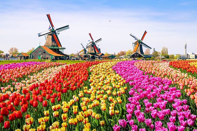 Private Zaanse Schans & Volendam Tour: Windmills, Cheese & Clogs - Who will enjoy this tour most?