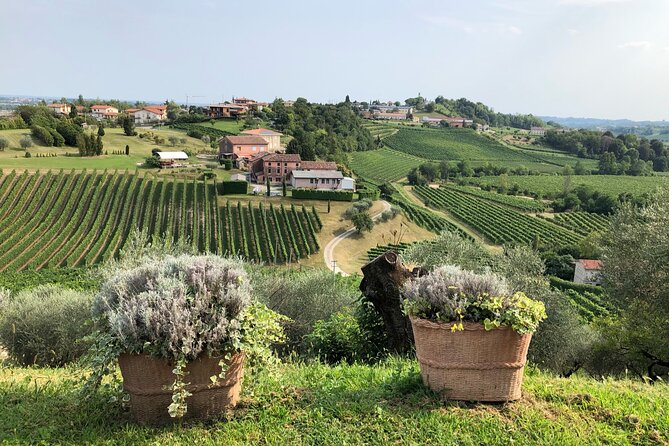 Prosecco Hills Wine and Cheese Gourmet Discovery - What the guides add