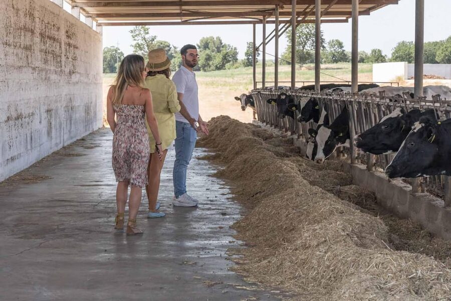 Puglia: Masseria Seppunisi Tour, Cheese, Burrata Tasting - Why the cheese matters at Masseria Seppunisi