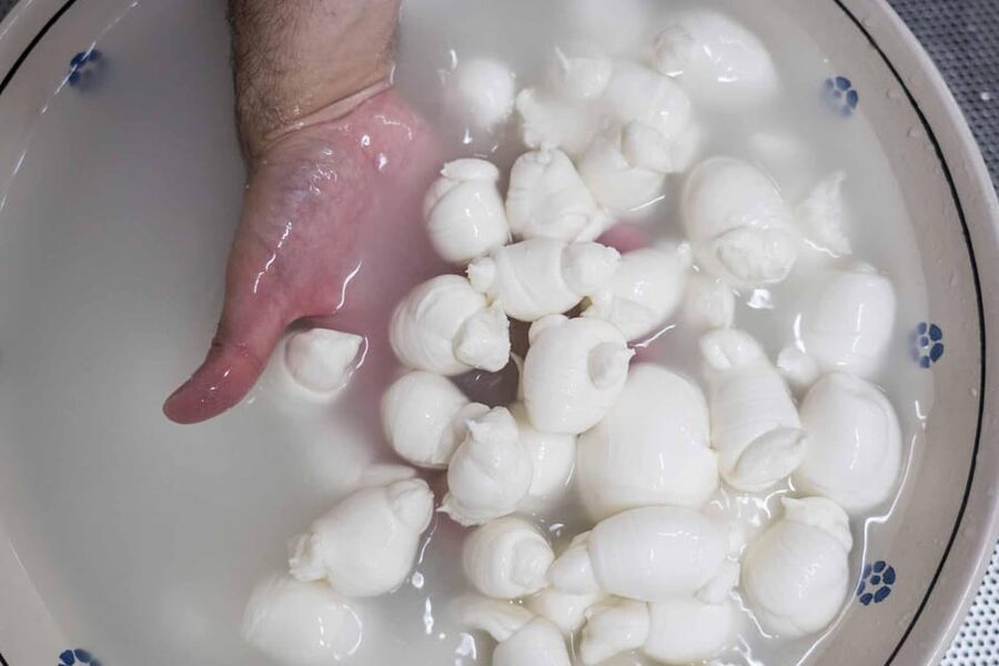 Puglia: Masseria Seppunisi Tour, Cheese, Burrata Tasting - Timing, language, and comfort
