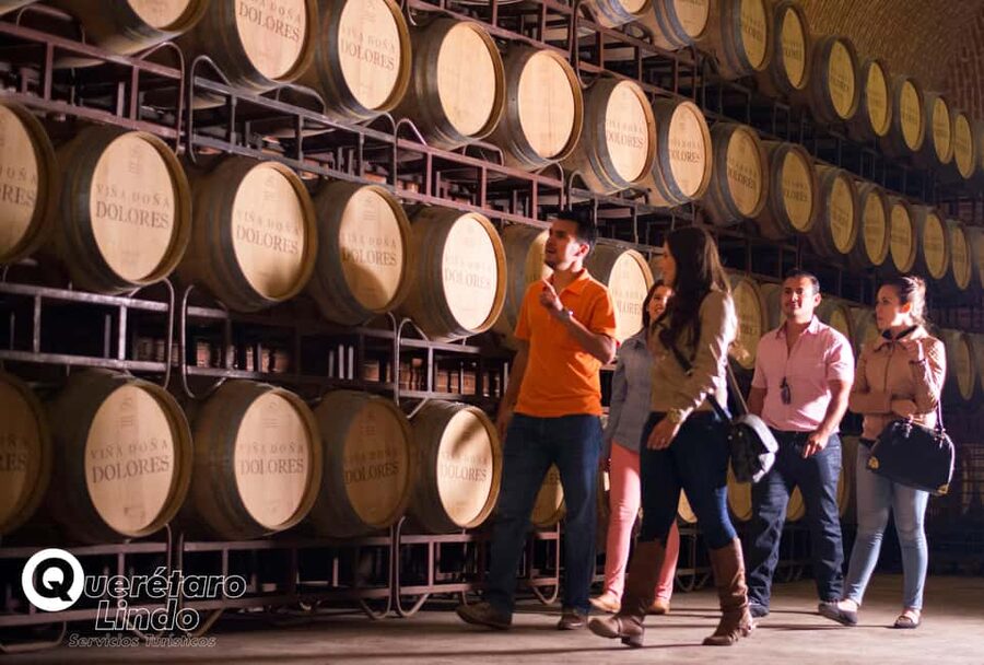 Querétaro: Art, Cheese and Wine Route - Inside Freixenet México’s Doña Dolores cellar