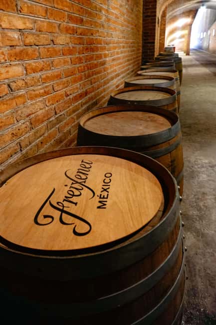 Querétaro: Art, Cheese and Wine Route - Should you book the Querétaro cheese and wine route?
