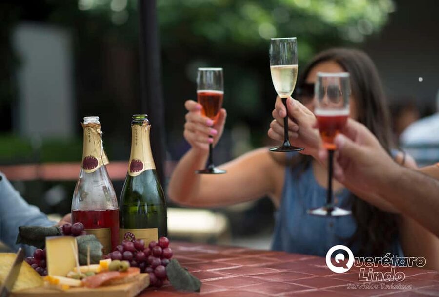 Querétaro: Art, Cheese and Wine Route - Tequisquiapan: one and a half hours on your own