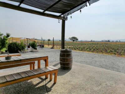Bernal & Tequisquiapan Trip with Wine & Cheese