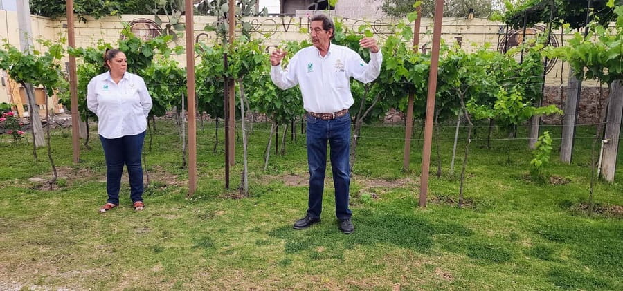 Querétaro: Bernal & Tequisquiapan Trip with Wine & Cheese - The guide can make the long day better