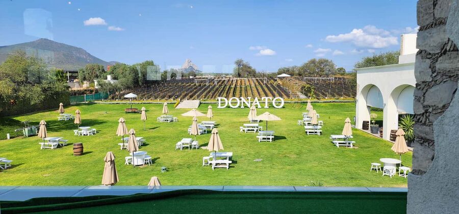 Querétaro: Bernal & Tequisquiapan Trip with Wine & Cheese - Who should book this day trip?