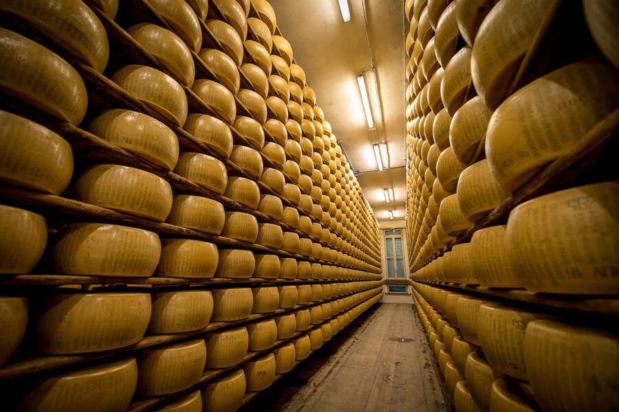 Reggio Emilia: Parmigiano Reggiano & Balsamic Vinegar Tour - Meeting cows, milking animals, and newborn calves