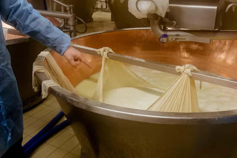 Reggio Food Tour: Parmigiano, balsamic, cured meats & wines - What the $260.56 price covers