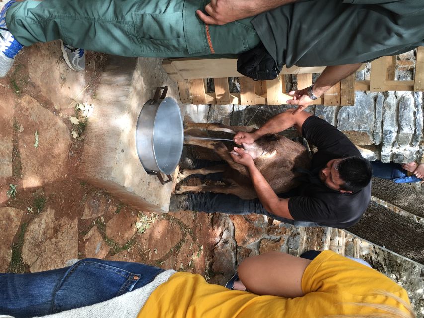 Rethymno 4x4 Safari: Tastes & Farm Experience - Key points to know before booking
