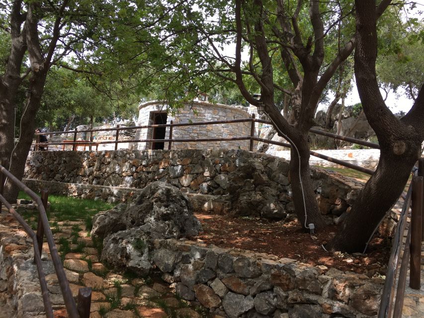 Rethymno 4x4 Safari: Tastes & Farm Experience - Seeing how olive oil reaches the bottle in Melidoni